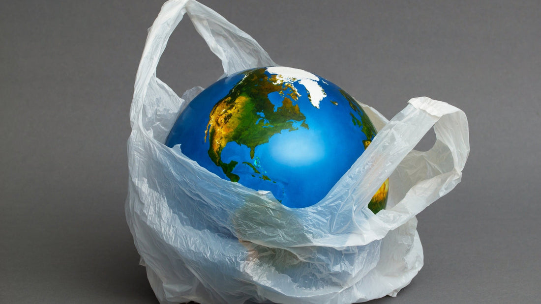 🌍 Pourquoi remplacer les sacs plastiques par des sacs à base d’amidon de maïs ?